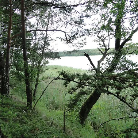 Bory Tucholskie Skorzenno Kolo Osieka * Осек