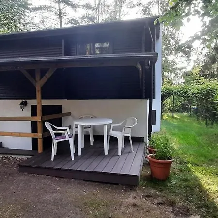 Bory Tucholskie Skórzenno Koło Osieka *