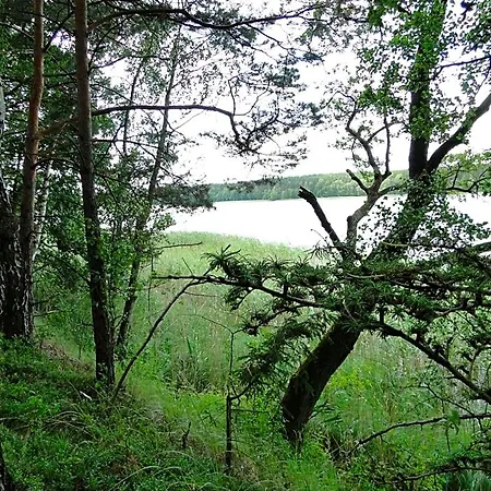 ロッジ Bory Tucholskie Skorzenno Kolo Osieka